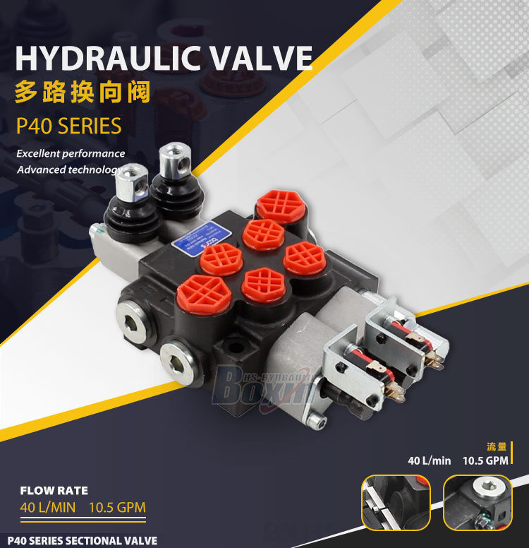 2 Spool Monoblock Directional Valve - P40: Factory Supply & Tailored Solutions